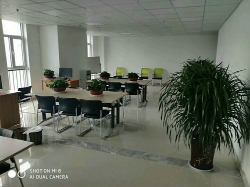 梦幻西游工作室招人