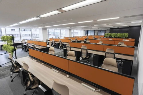 网易樱花工作室公布三款在研产品的游戏类型